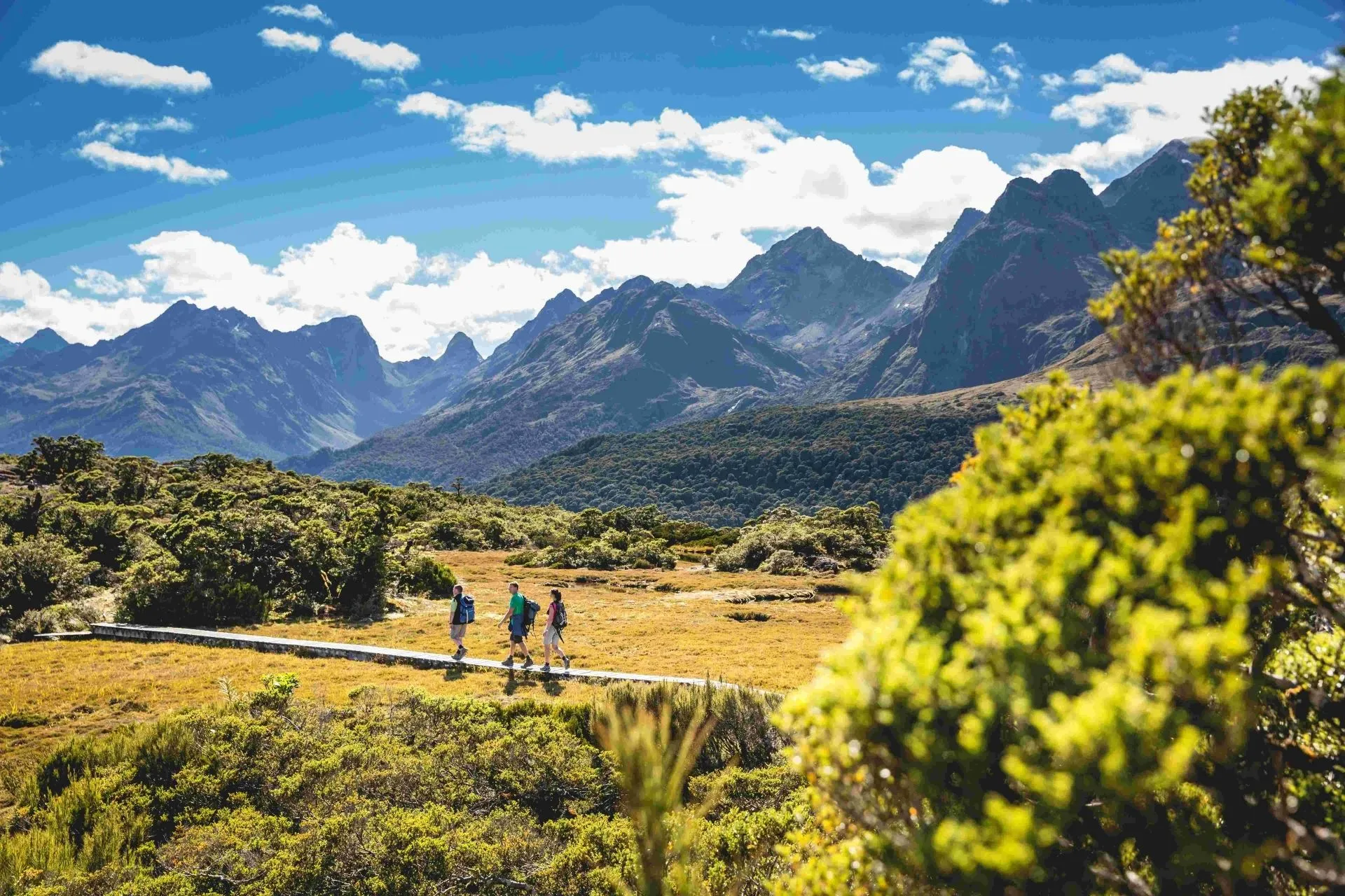 Walkers on a boardwalk trail with mountains in the background