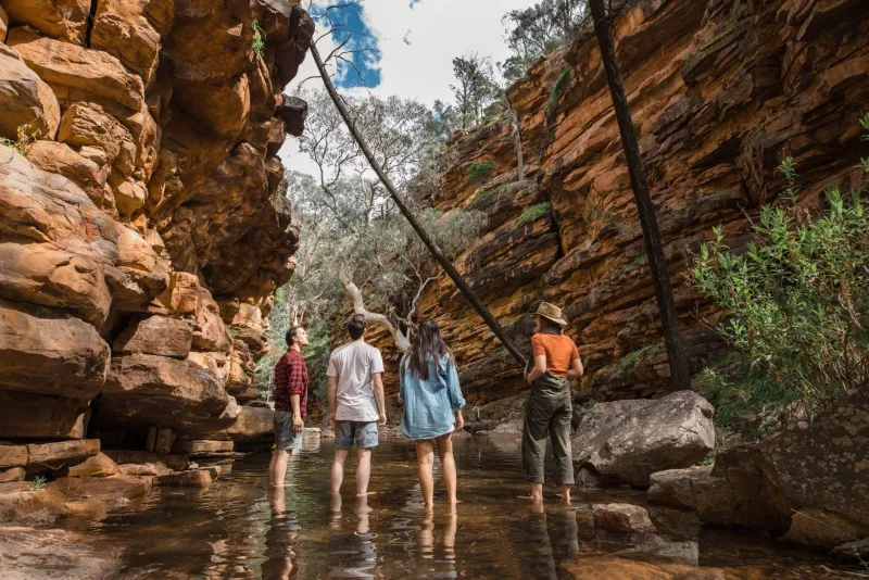 Walkers exploring a canyon landscape