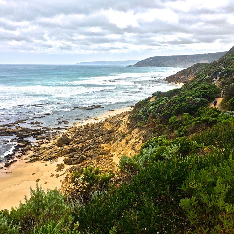 Great-Ocean-Walk-Self-Guided hike Cape Otway National park ocean and beach