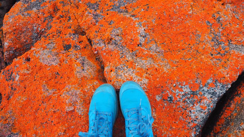 freycinet peninsula walks boots and lichen