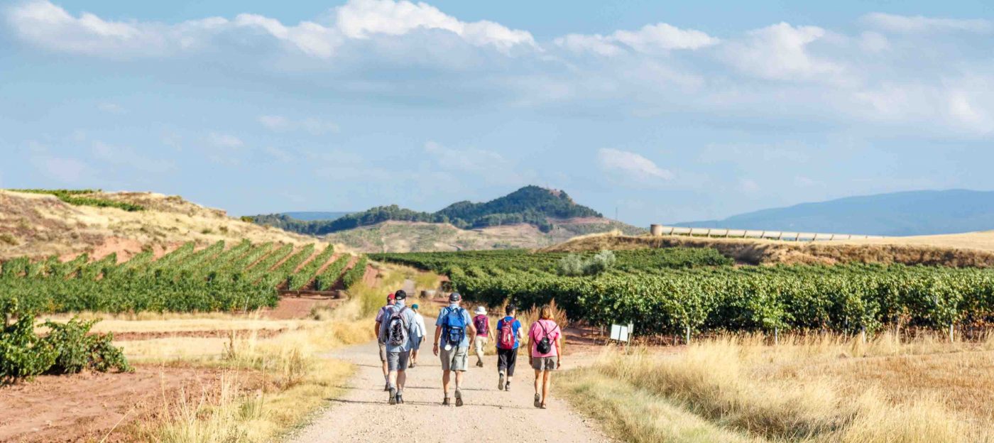 Walkers on the Portuguese Camino
