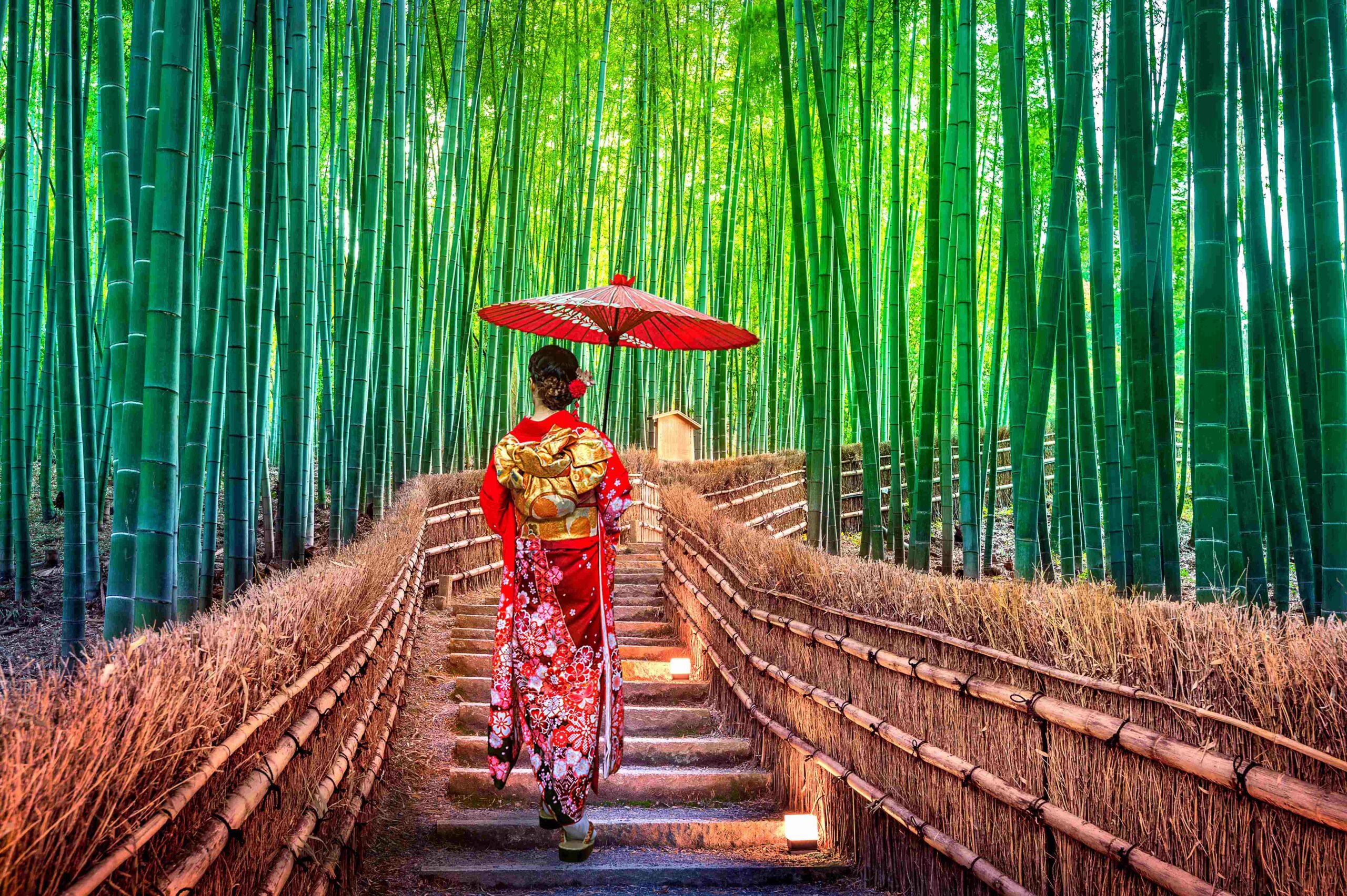 Woman-in-gown-in-Bamboo-forest