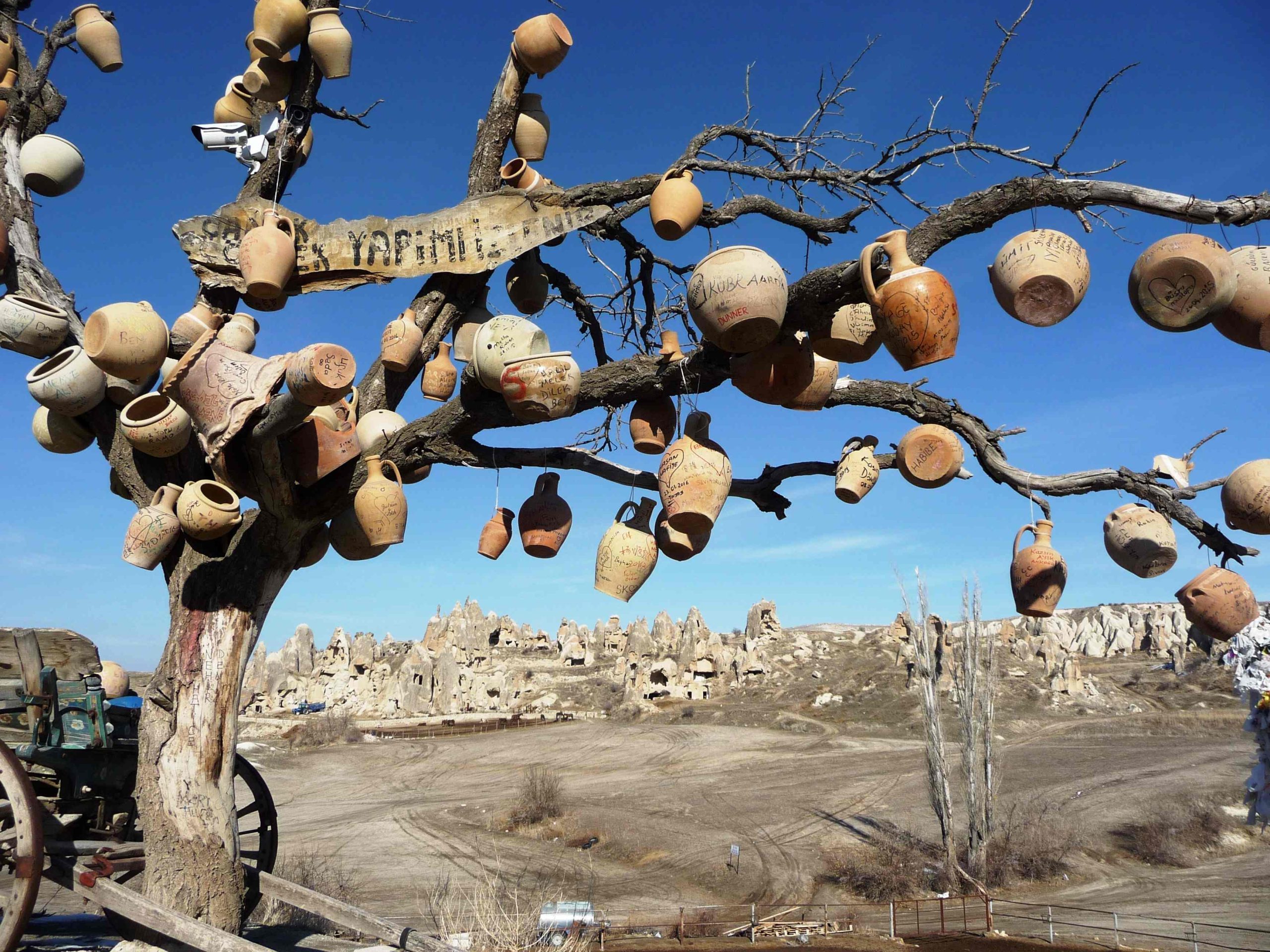 Cappadocia-Pots-on-tree-and-view-scaled