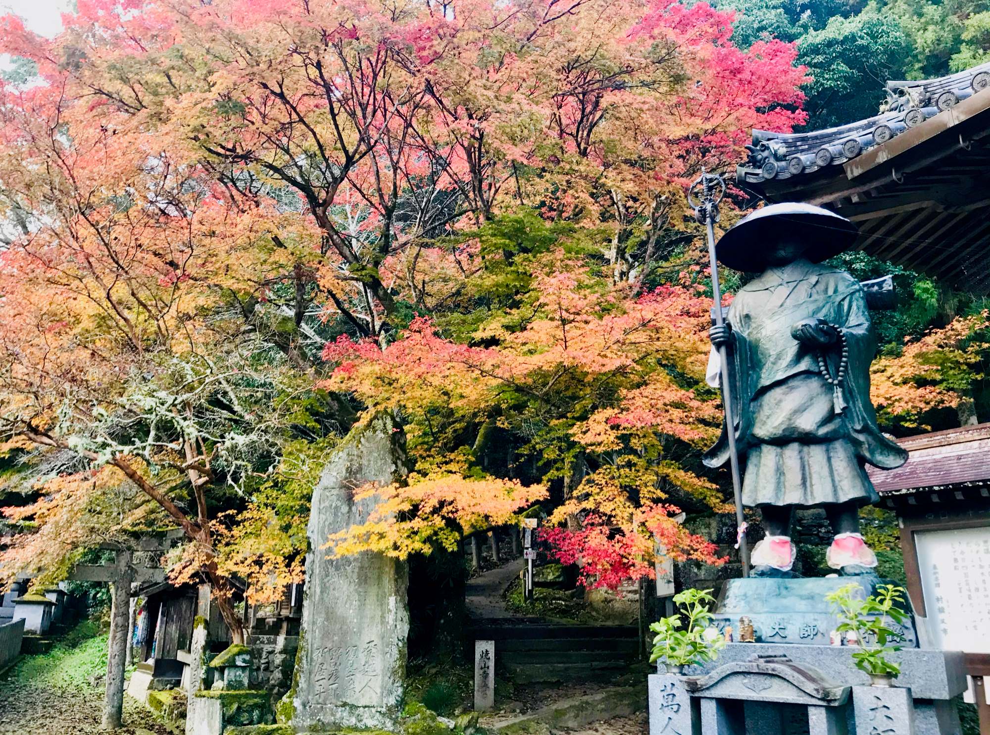 Statue-Shikoku-Day-2-tress