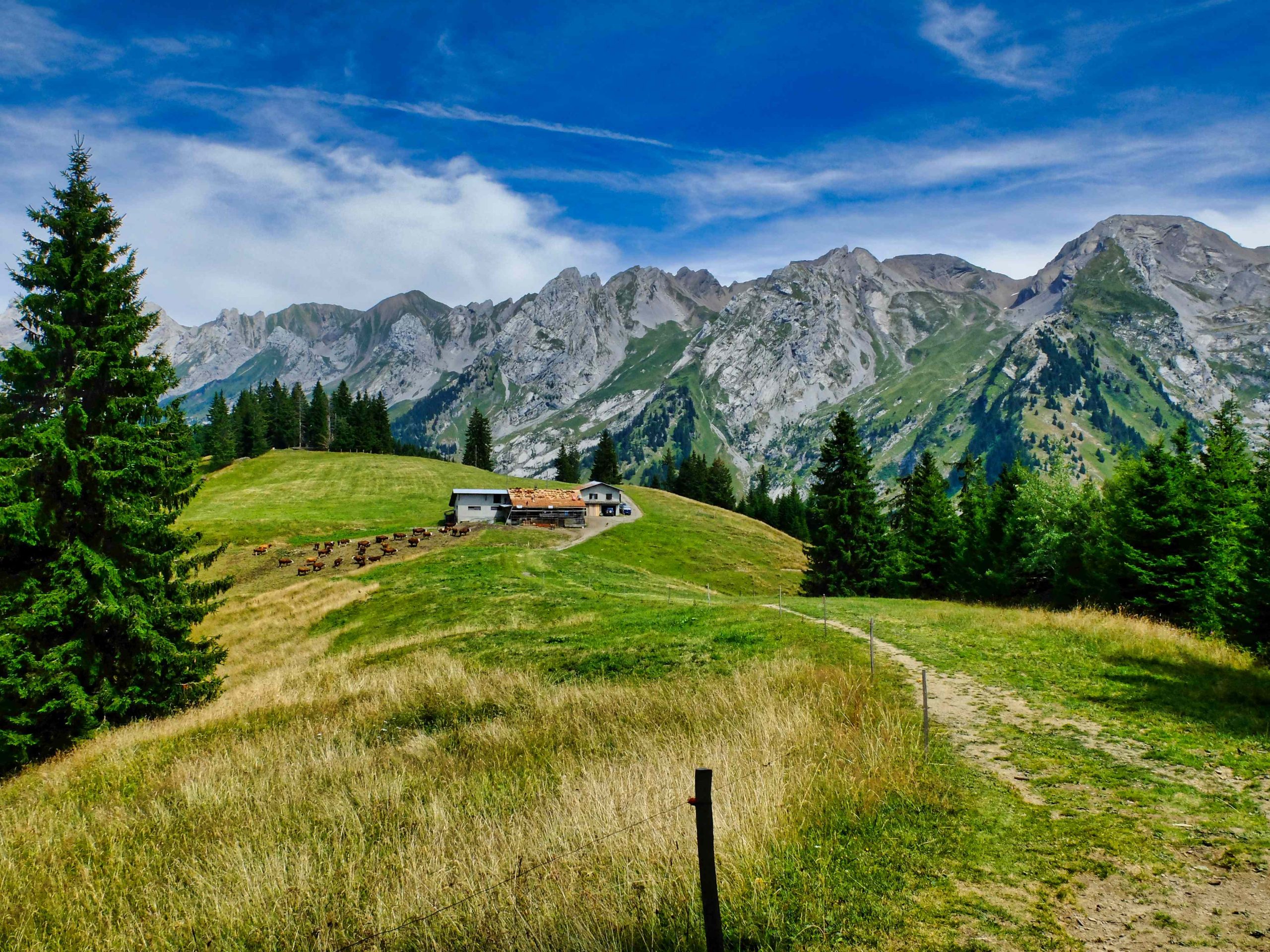 D2-Mountain-farm-in-the-Aravis-Pasture-2-Alps-Small-scaled